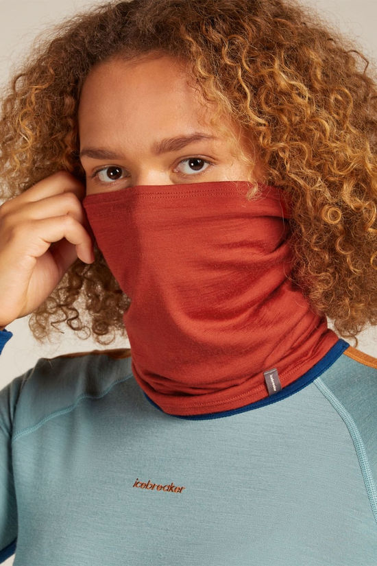Icebreaker Merino 200 Oasis Flexi Chute Neckwarmer Agate