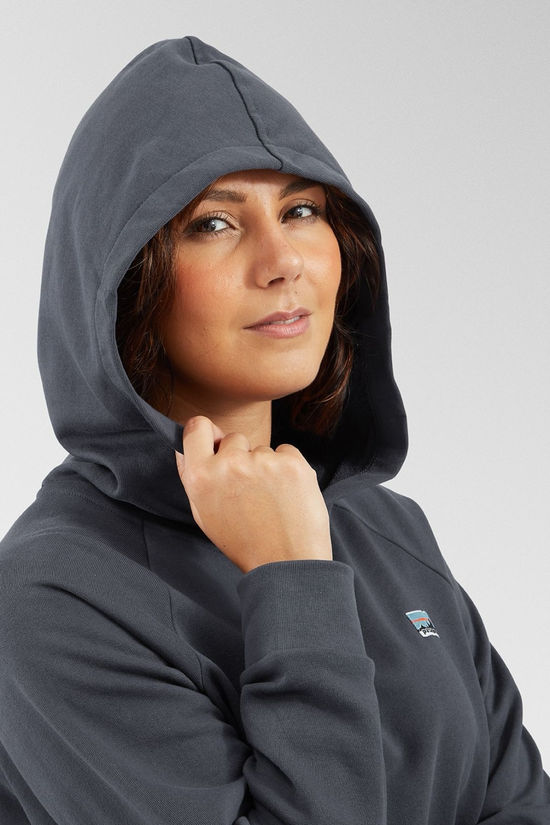 Patagonia Womens Regenerative Organic Certified Cotton Essential Hoodie Smolder Blue