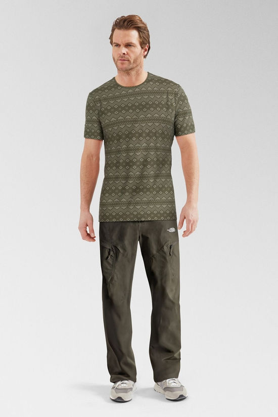 Icebreaker Mens Merino 150 Anatomica T-Shirt - First Snow Loden/Snow/Aop