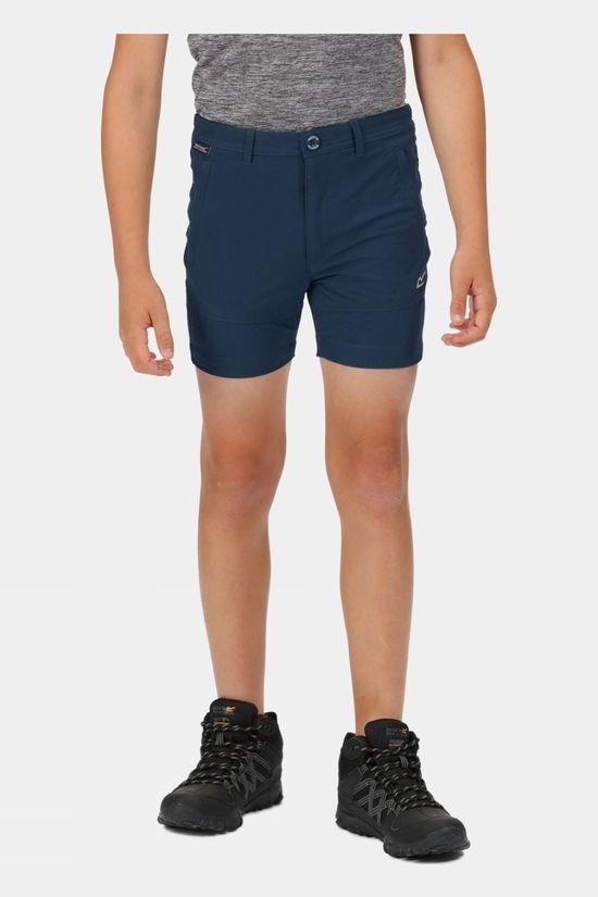 Regatta Kids Highton Shorts India Grey