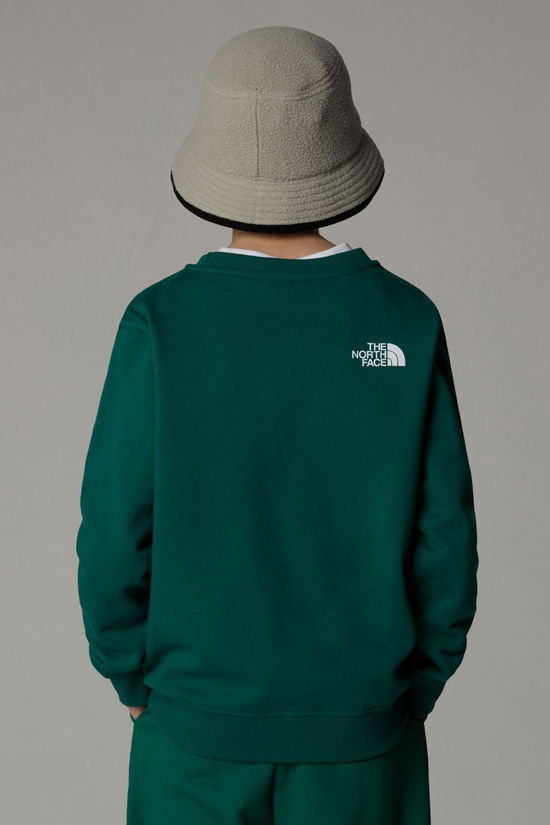 The North Face Teens Varsity Graphic Relaxed Sweatshirt Evergreen