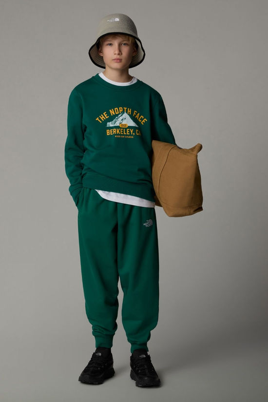 The North Face Teens Varsity Graphic Relaxed Sweatshirt Evergreen