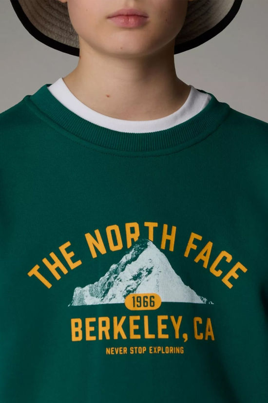 The North Face Teens Varsity Graphic Relaxed Sweatshirt Evergreen