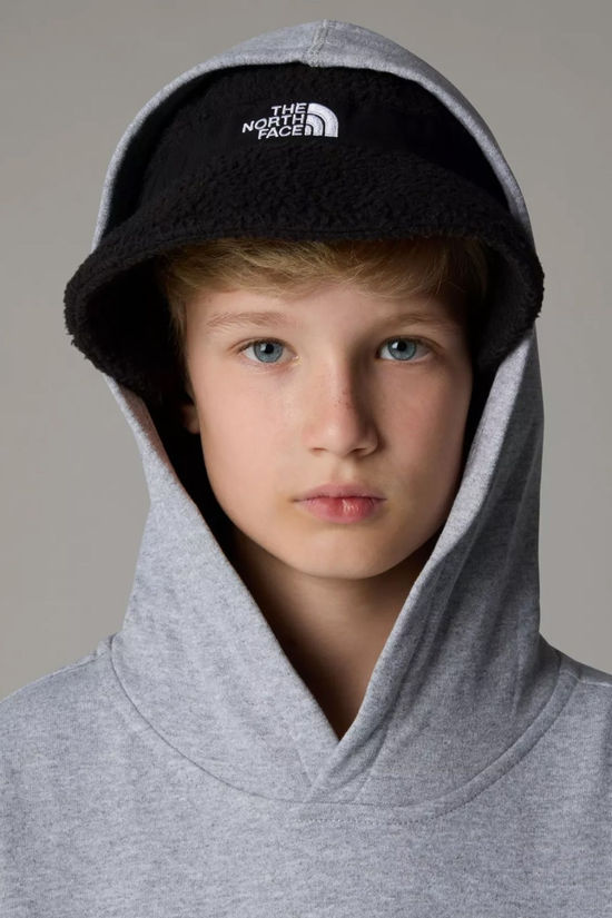 The North Face Teen Essential Oversized Hoodie Sweatshirt  Tnf Light Grey Heather