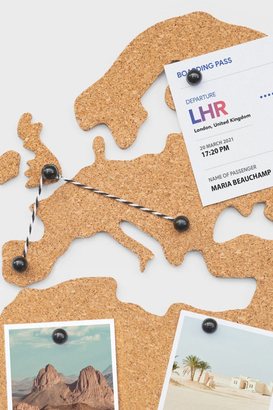 Suck UK Corkboard Map Pin Board Light Brown/Blue