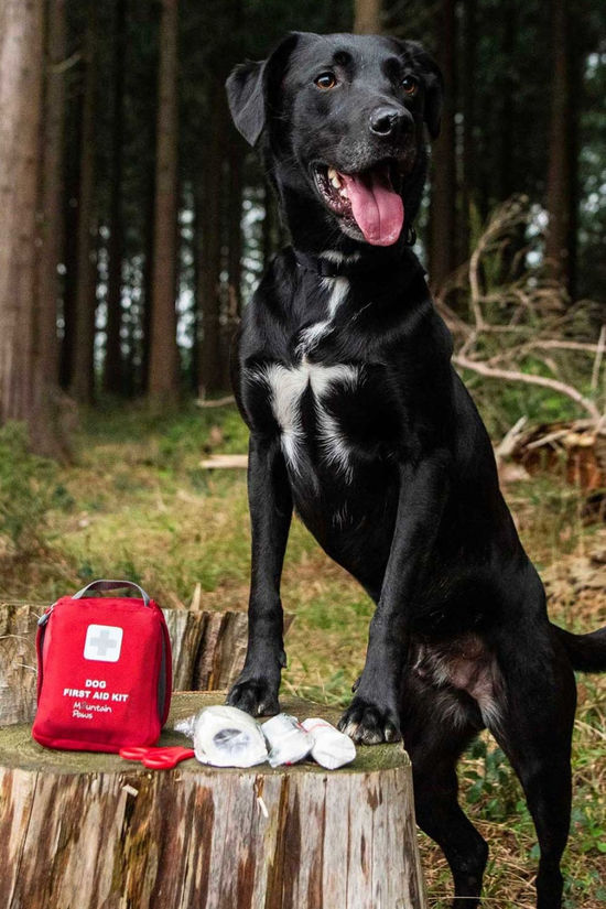 Mountain Paws Dog First Aid Kit  Red