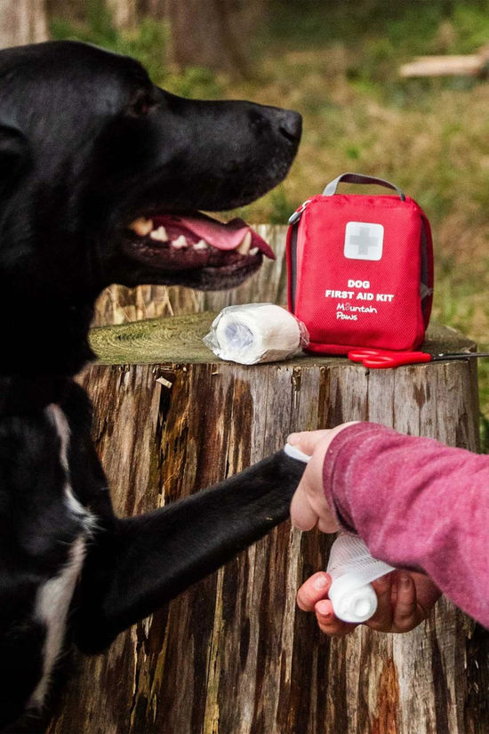 Mountain Paws Dog First Aid Kit  Red