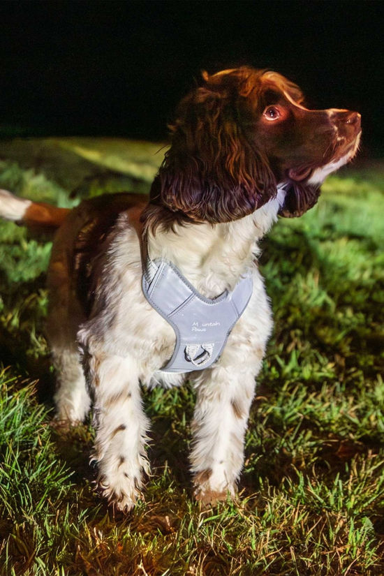 Mountain Paws Dog Harness - Extra Large  Reflective