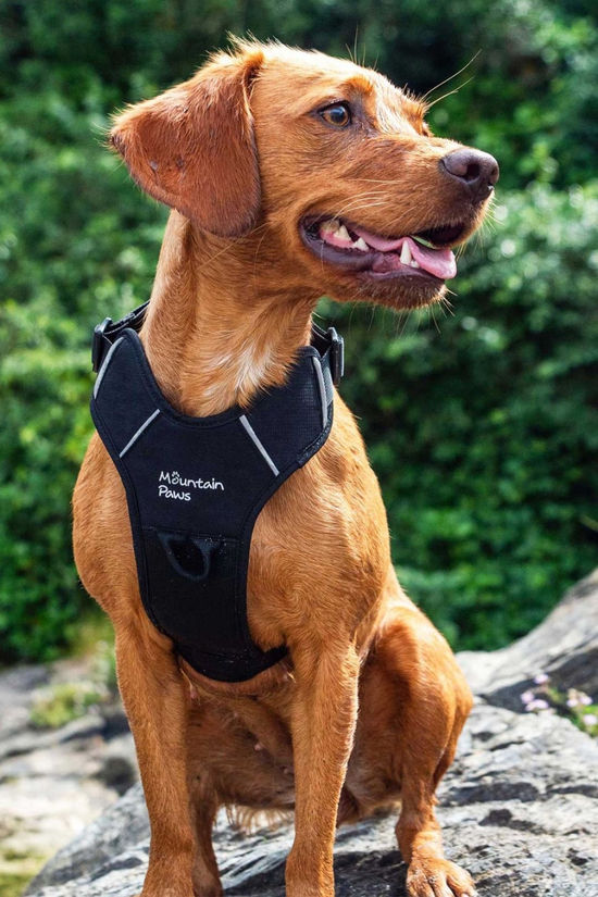 Mountain Paws Dog Harness - Extra Large  Black