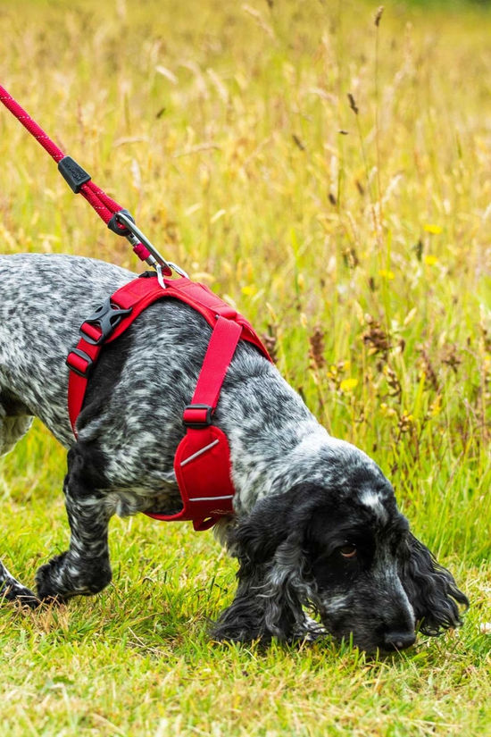Mountain Paws Dog Harness - Small Red