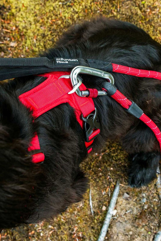 Mountain Paws Dog Harness - Small Red