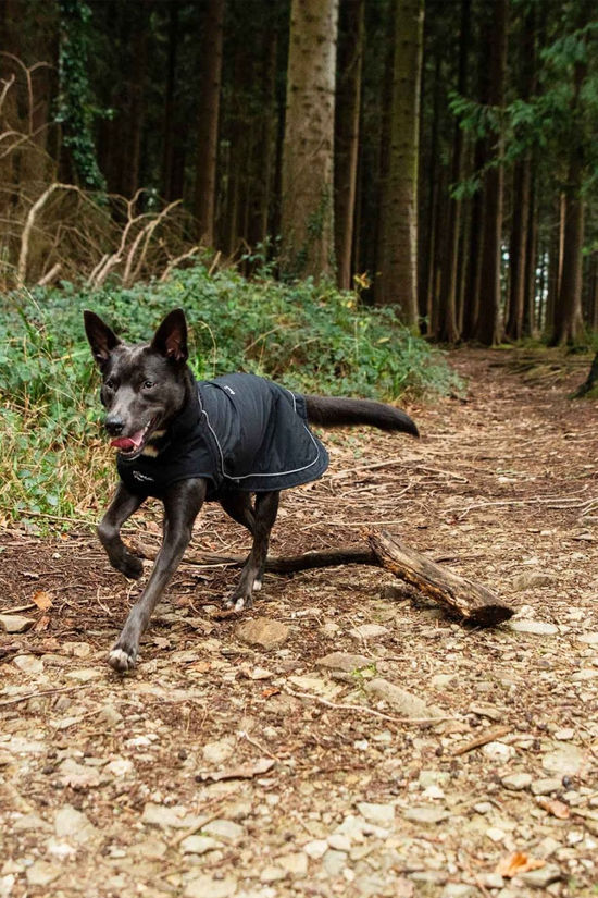 Mountain Paws Fleece Lined Dog Raincoat - Extra Large  Black