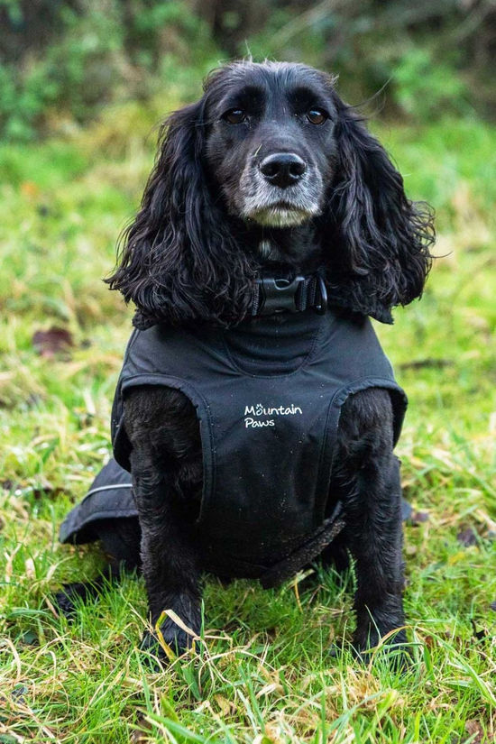 Mountain Paws Fleece Lined Dog Raincoat - Extra Large  Black