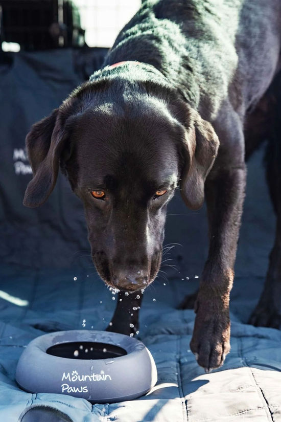 Mountain Paws Splashproof Dog Bowl  Grey