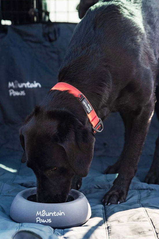 Mountain Paws Splashproof Dog Bowl  Grey