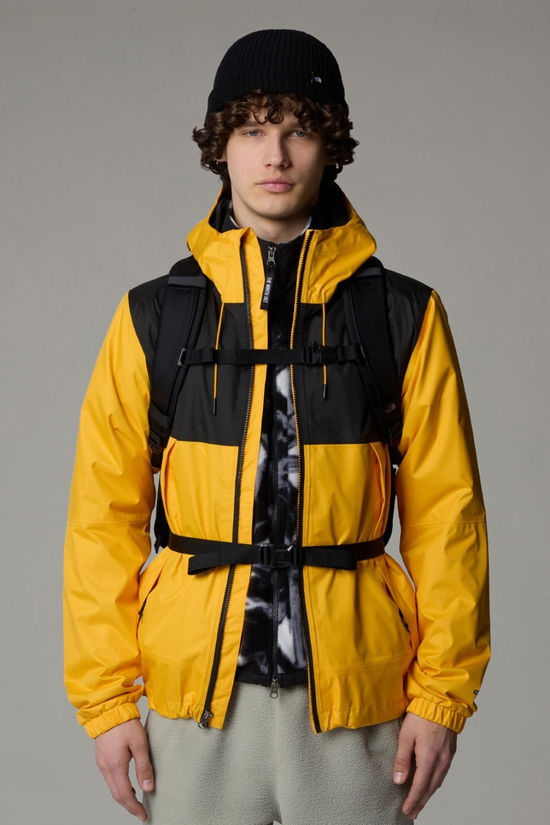 The North Face Surge Daypack Tnf Black - Tnf Black-Npf