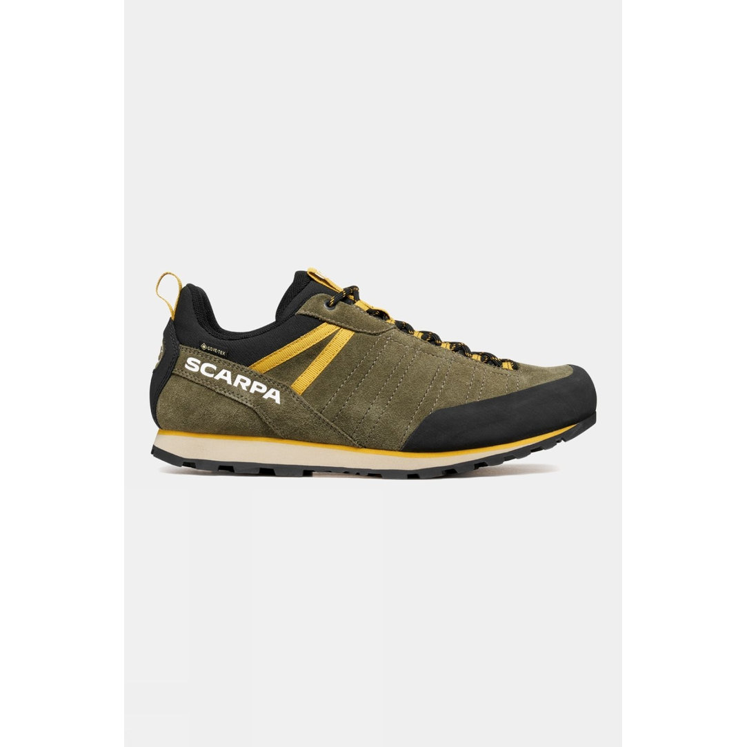 Mens Crux 2 GTX Shoes